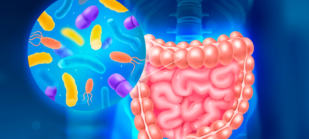 Curso Microbiota y SIBO ¿Qué es y cómo modularla?