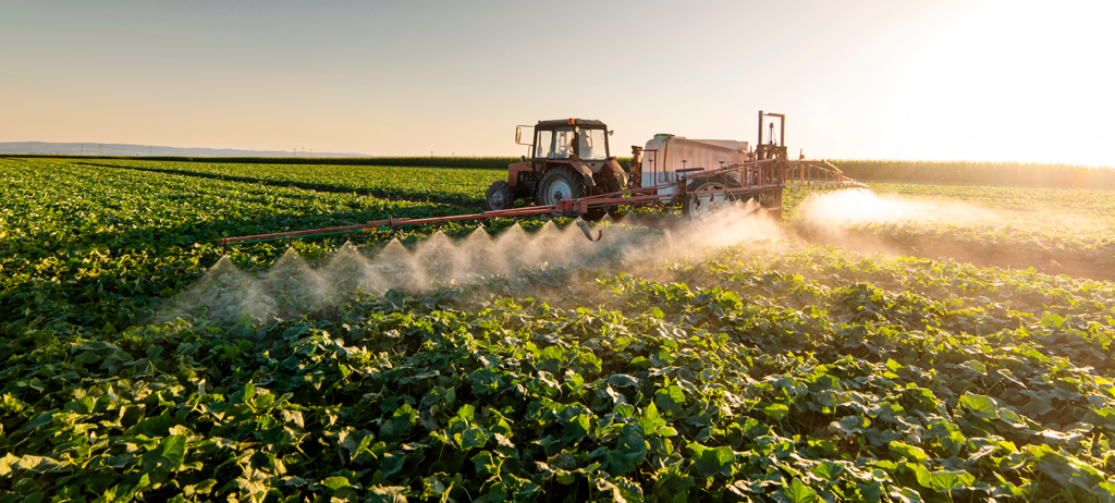 Curso Manejo y uso de plaguicida agrícola