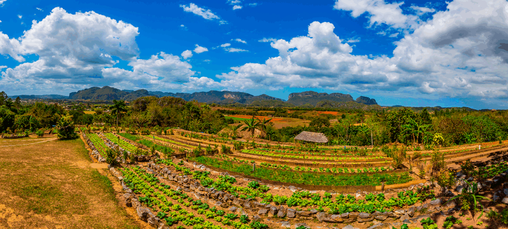 Diplomado en Agroecología